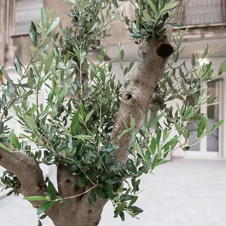 @urhome - Luxury 4* רומא